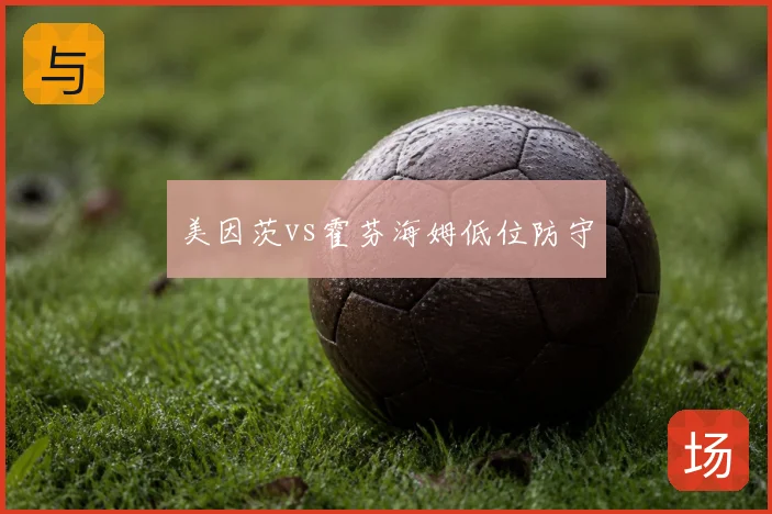 美因茨vs霍芬海姆低位防守